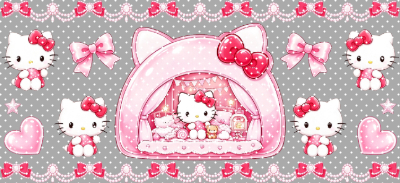 16oz Sanrio-K  870